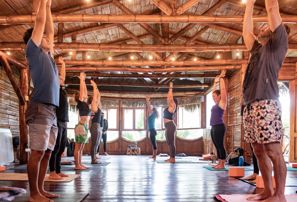 yoga1 Group of people participating in a yoga class.